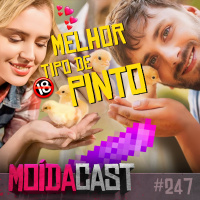 #247 RINHA DE MELHOR PINT0 