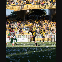 Os Piratas encontram ouro no Chile!