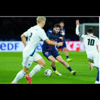 Tem zebra em Paris, decisão na África e demissão na Espanha