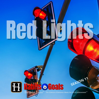 Habits 2 Goals: The Habit Factor® Podcast With Martin Grunburg | Goal Achievement, Productivity  Success Simplified