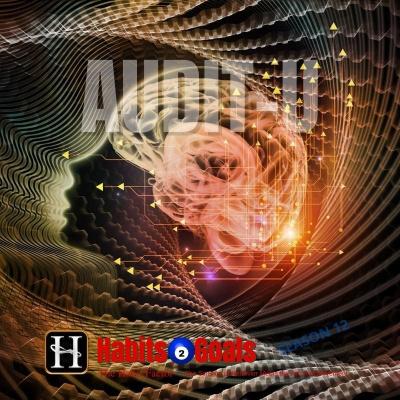 Habits 2 Goals: The Habit Factor® Podcast With Martin Grunburg | Goal Achievement, Productivity  Success Simplified