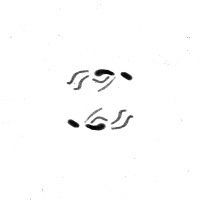 Desassossego: banda sonora da série Fumaça por Bernardo Afonso