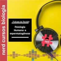 Revisão - A Espermatogênese