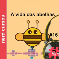 #16 - A vida das abelhas