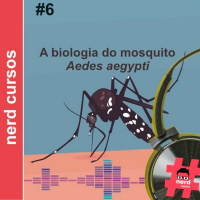 #6 - A biologia do mosquito Aedes aegypti