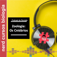 Revisão - Os Cnidários