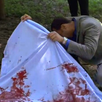 LO: A dog ripped a lady apart!