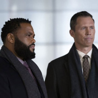 LAW  ORDER RETURNS! A celebrity serial rapist is killed by his victim