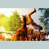 Podcast Colonews | Ep. 11