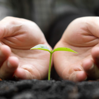 How To Protect Yourself - Radio Show Archive