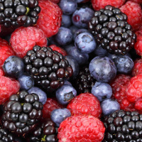 Healing Power of Wild Berries - Radio Show Archive