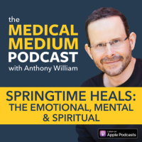 092 Springtime Heals: The Emotional, Mental and Spiritual