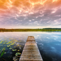 Nature Therapy - Radio Show Archive