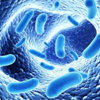 Streptococcus Revealed - Radio Show Archive