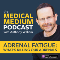 056 Adrenal Fatigue: Whats Killing Our Adrenals