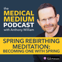 093 Spring Rebirthing Meditation: Becoming One With Spring