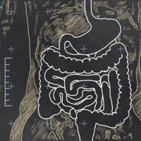 Understanding Gut Health - Radio Show Archive