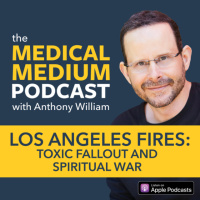 080 Los Angeles Fires: Toxic Fallout And Spiritual War