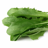 Healing Powers of Wild Foods - Radio Show Archive