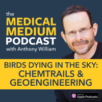 101 Birds Dying In The Sky: Chemtrails  Geoengineering