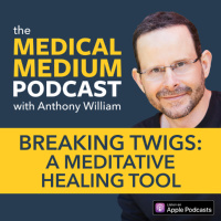 094 Breaking Twigs: A Meditative Healing Tool