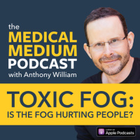 083 Toxic Fog: Is The Fog Hurting People?