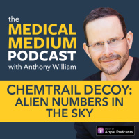 099 Chemtrail Decoy: Alien Numbers In The Sky