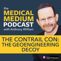 096 The Contrail Con: The Geoengineering Decoy