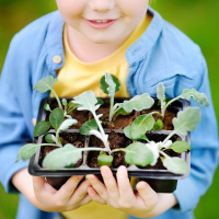 Growing Your Own Food - Radio Show Archive