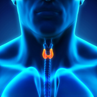 Thyroid Healing - Radio Show Archive