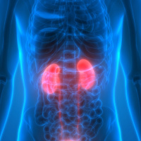 Kidney Health - Radio Show Archive