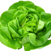 Power Of Leafy Greens - Radio Show Archive