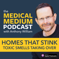 078 Homes That Stink: Toxic Smells Taking Over