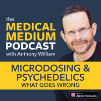 039 Microdosing  Psychedelics: What Goes Wrong