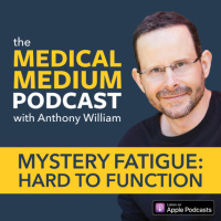 074 Mystery Fatigue: Hard To Function