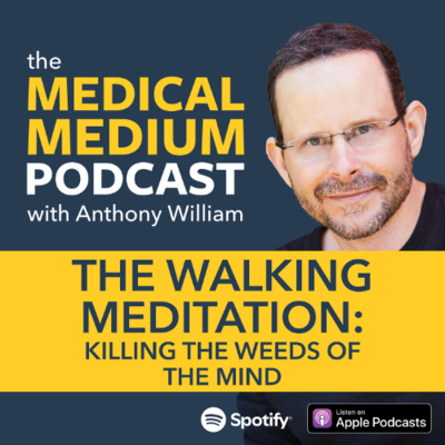 Medical Medium Podcast