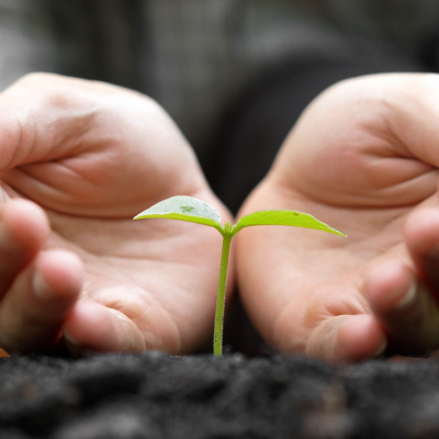 Medical Medium Podcast