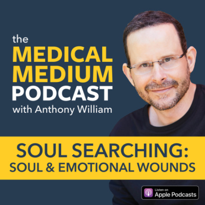 Medical Medium Podcast