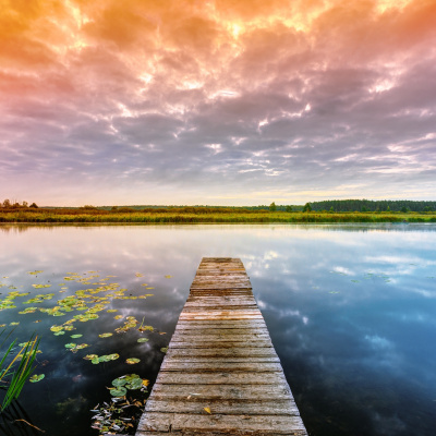 Medical Medium Podcast