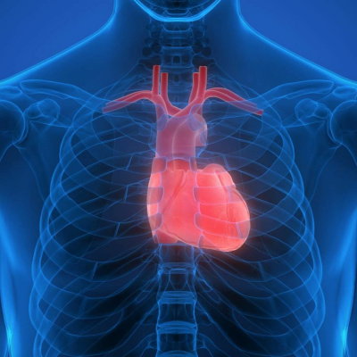 Medical Medium Podcast