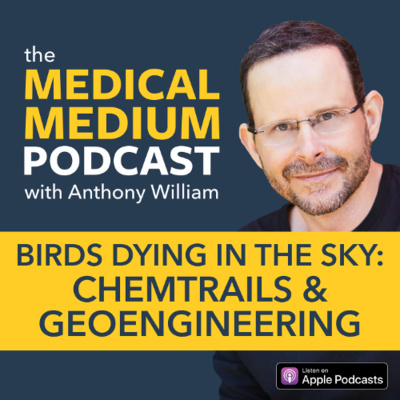 Medical Medium Podcast
