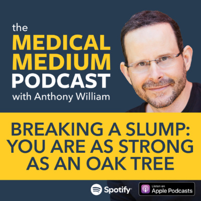 Medical Medium Podcast