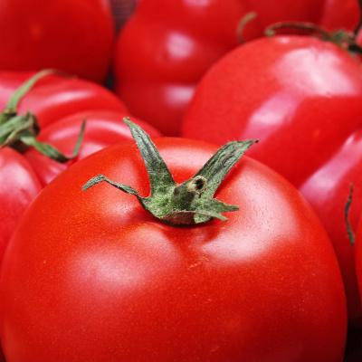 Medical Medium Podcast