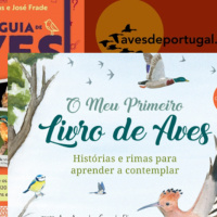 UM CONVITE A OLHAR PARA O CÉU COM GONÇALO ELIAS