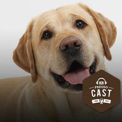 Pseudocast