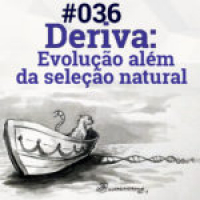 #036 Deriva: Evolução além da seleção natural