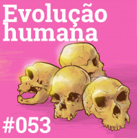 #053 Evolução Humana