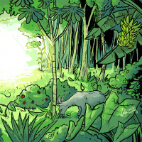 #060 Agroflorestas pelo mundo