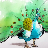 #068 Sexo no mundo animal