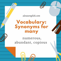 Vocabilary Lesson 4 with many, numerous, abundant, copious